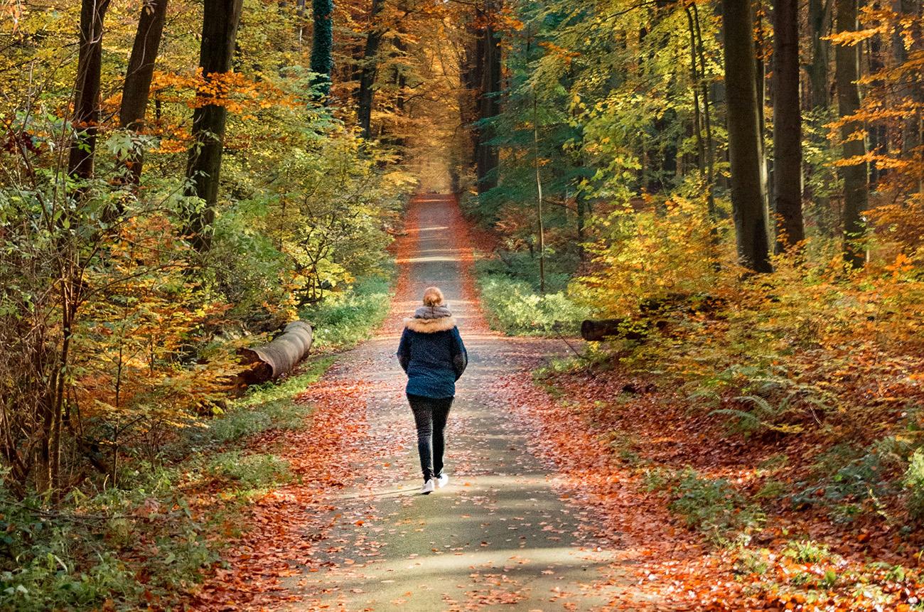 Woman walking through a scenic autumn forest